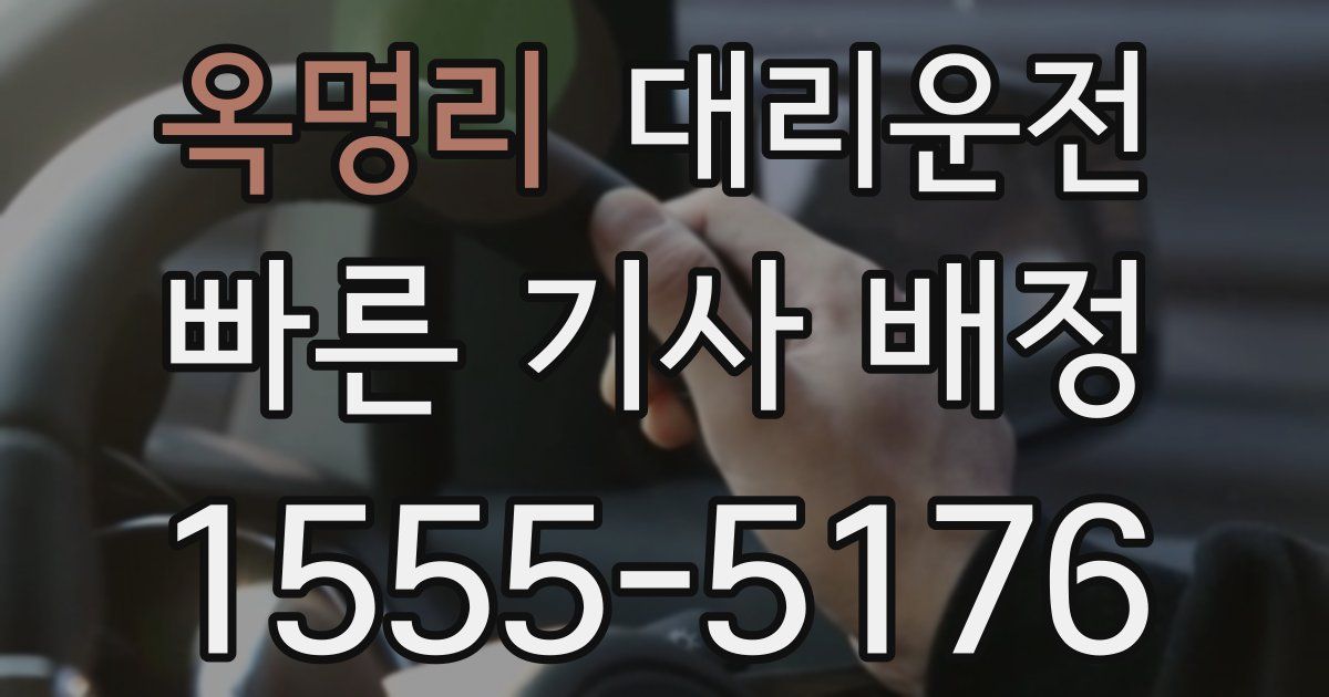 일일대리기사