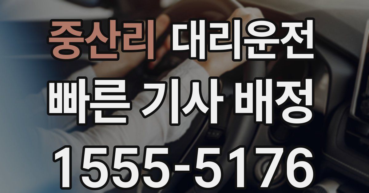 일일대리기사