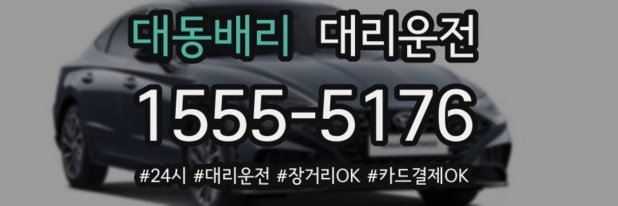 대동배리 대리운전