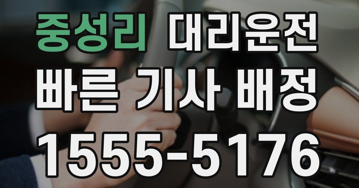 일일대리기사