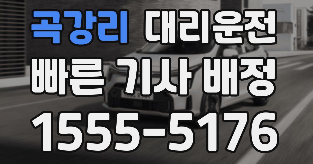일일대리기사