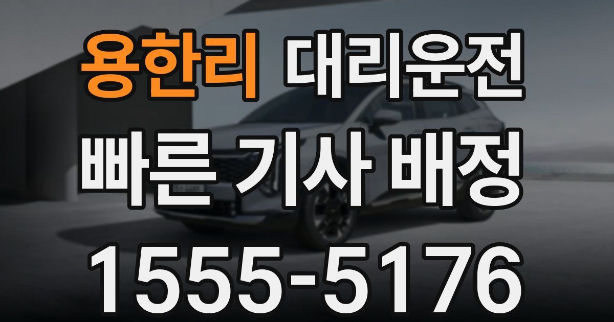일일대리기사