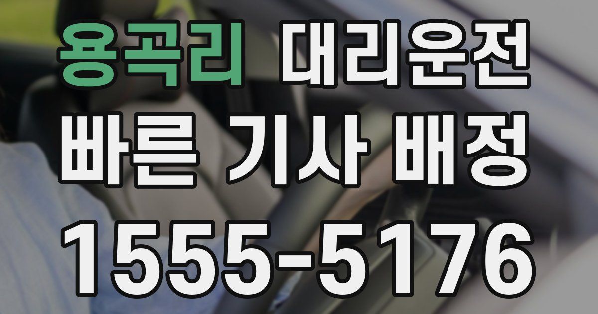 일일대리기사