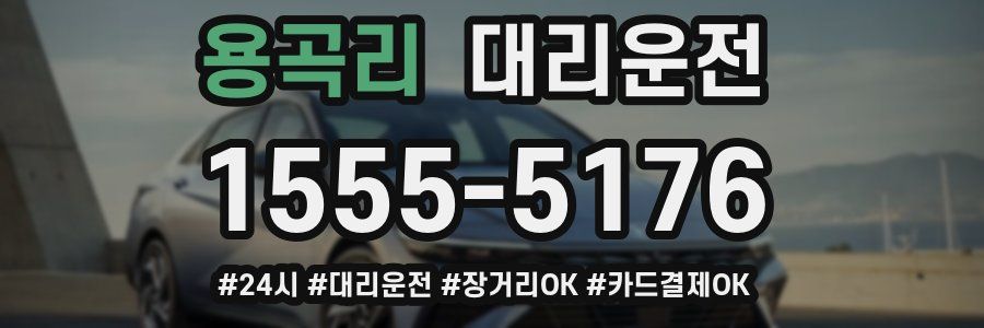 용곡리 대리운전