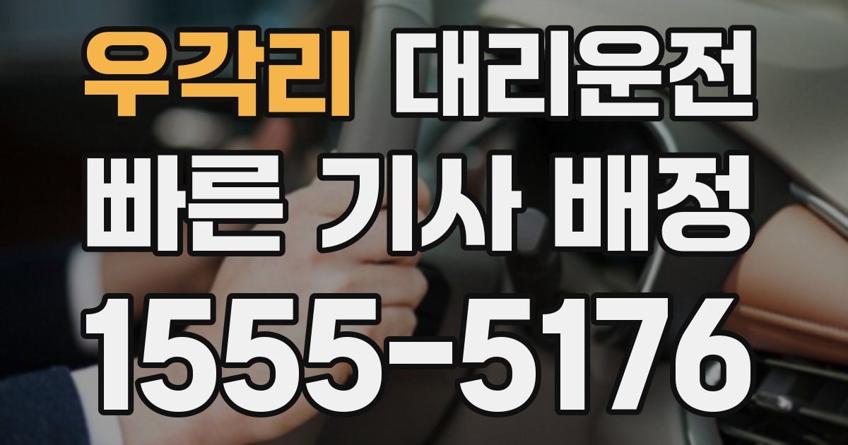 일일대리기사