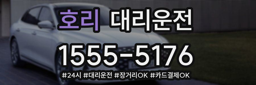 호리 대리운전