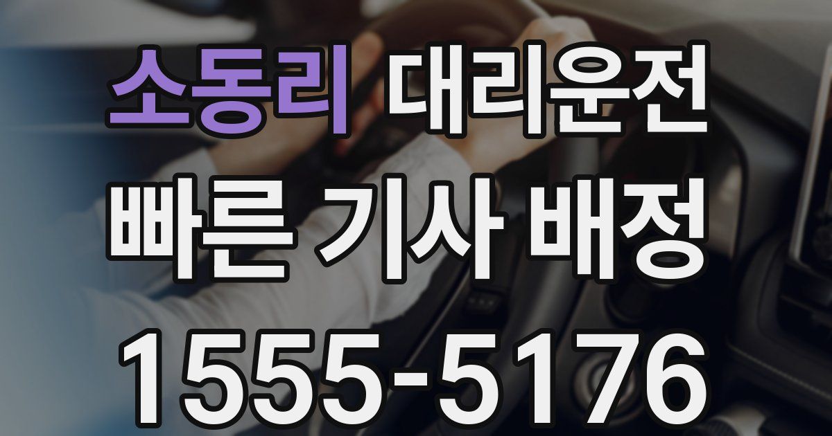 일일대리기사