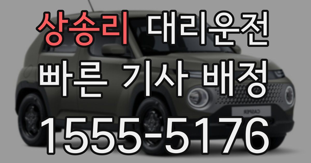 일일대리기사