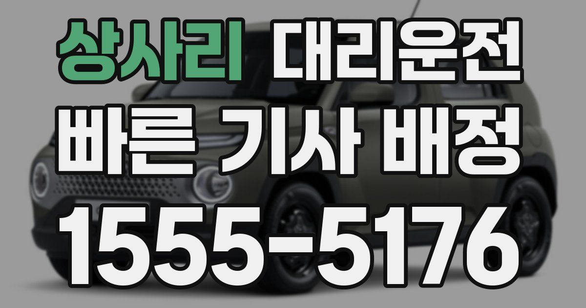 일일대리기사