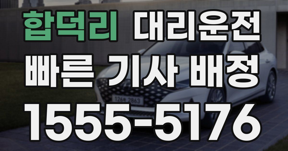 일일대리기사