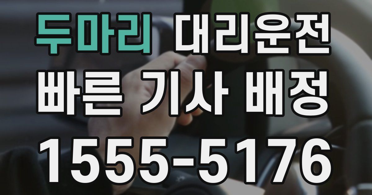 일일대리기사