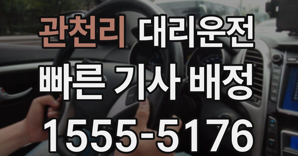 일일대리기사