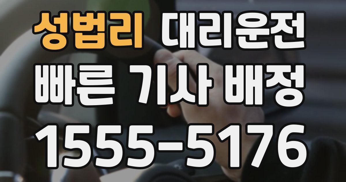 일일대리기사