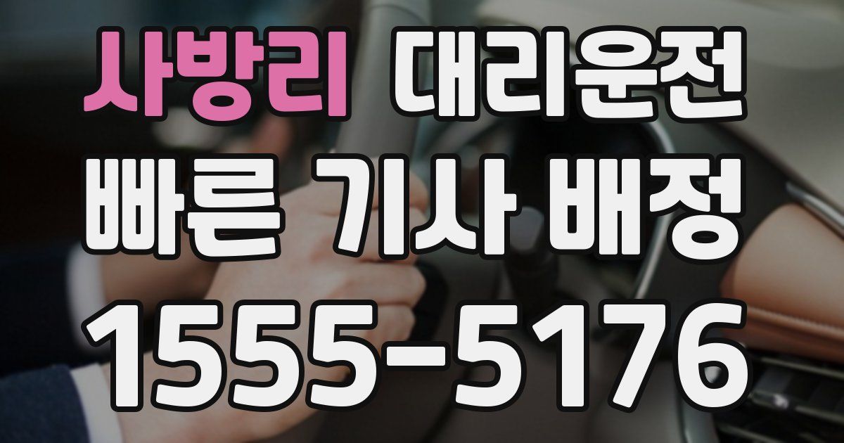 일일대리기사