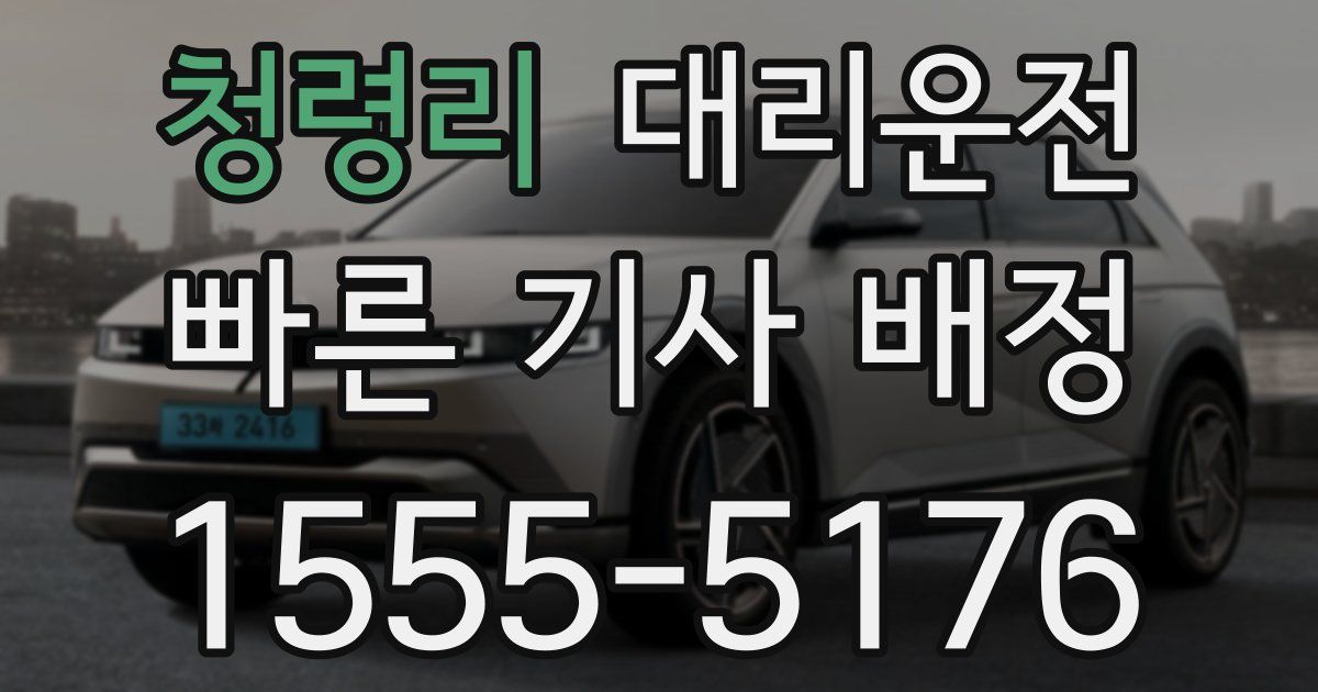일일대리기사