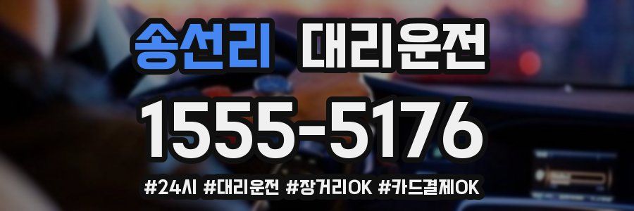 송선리 대리운전