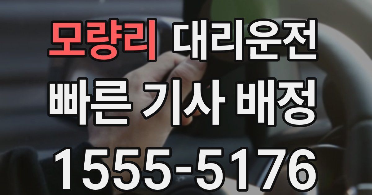 일일대리기사