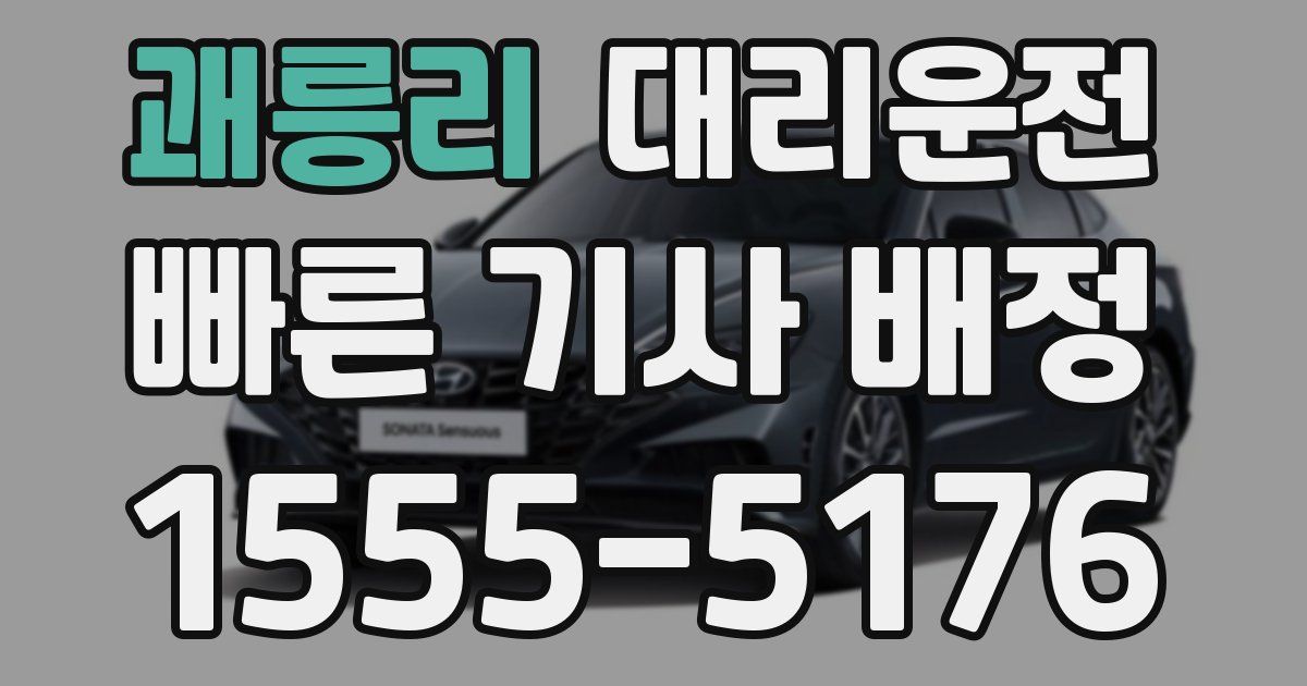 일일대리기사