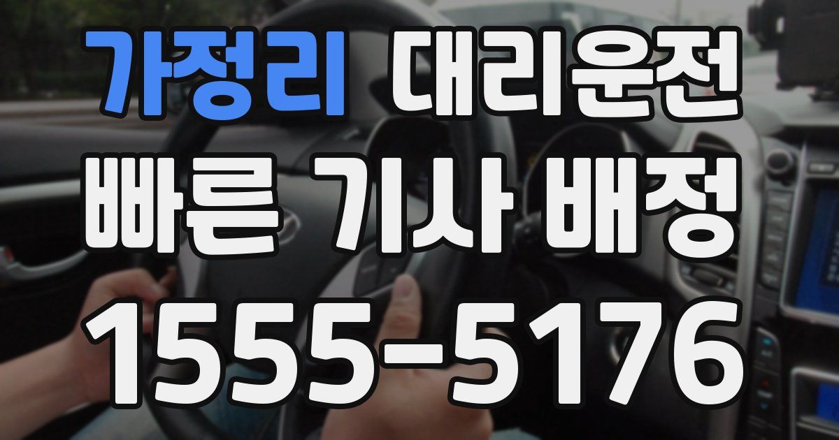 일일대리기사