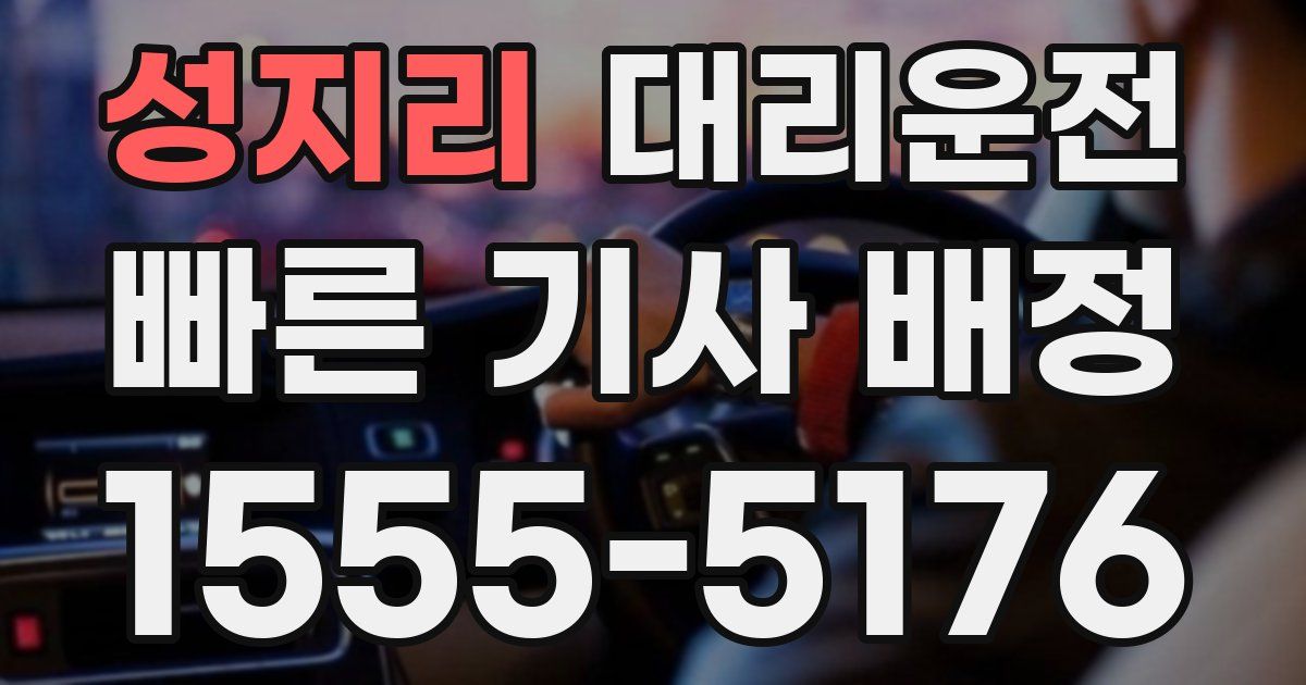 일일대리기사