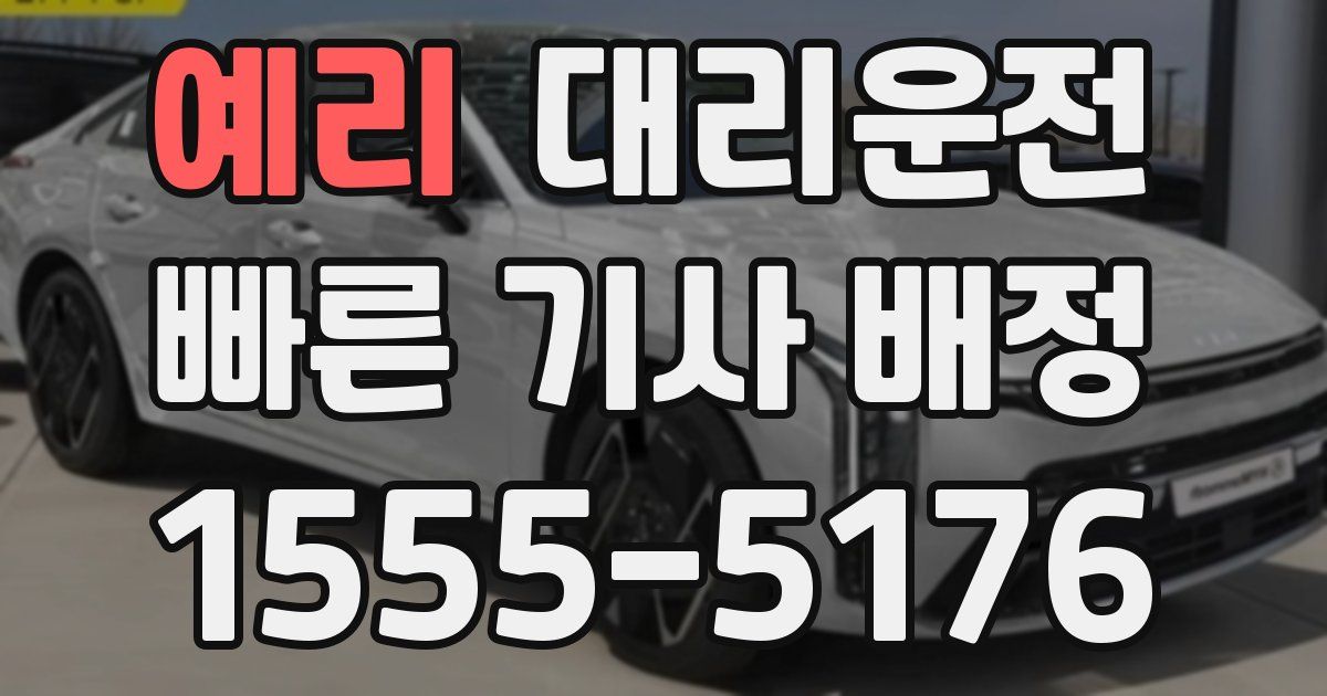 일일대리기사