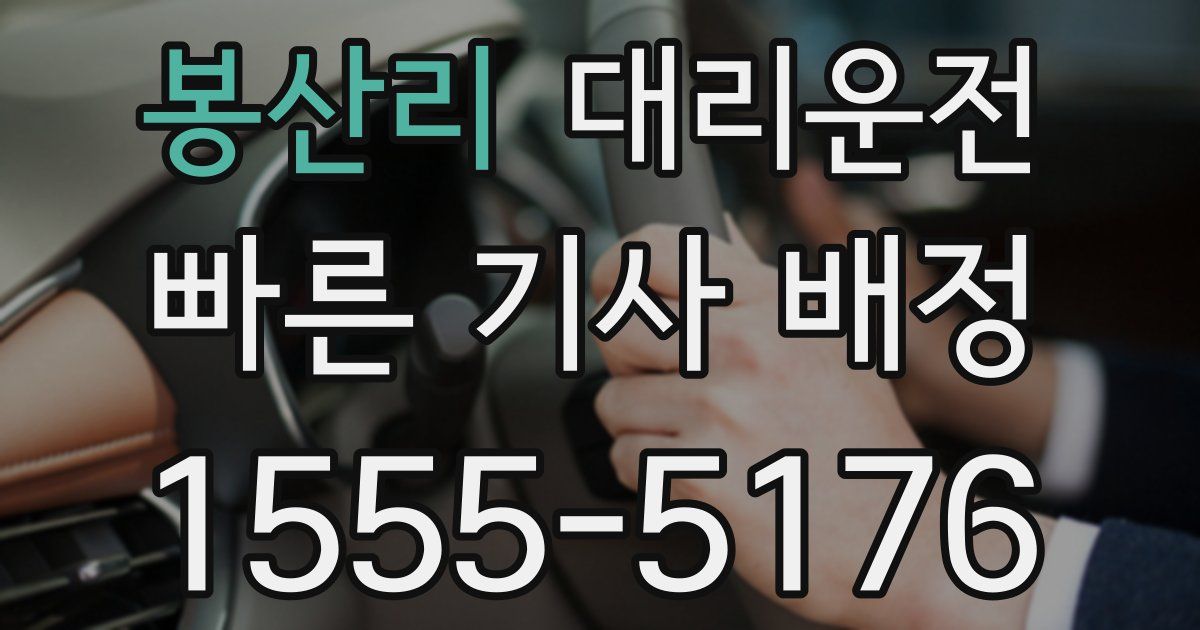 일일대리기사