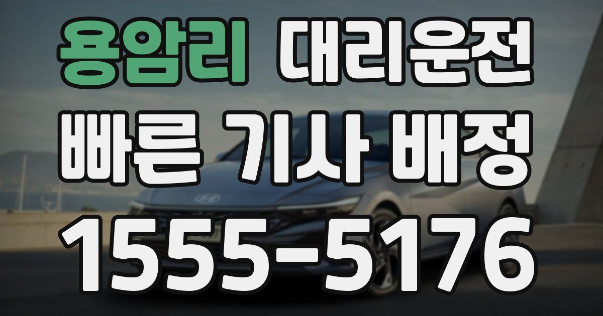 일일대리기사
