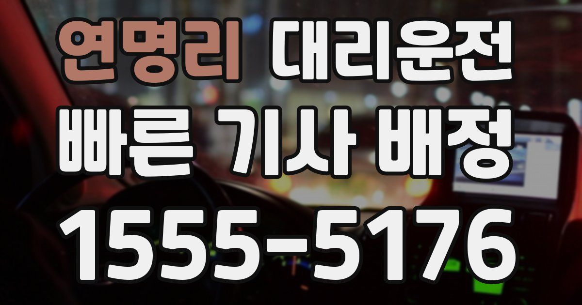 일일대리기사