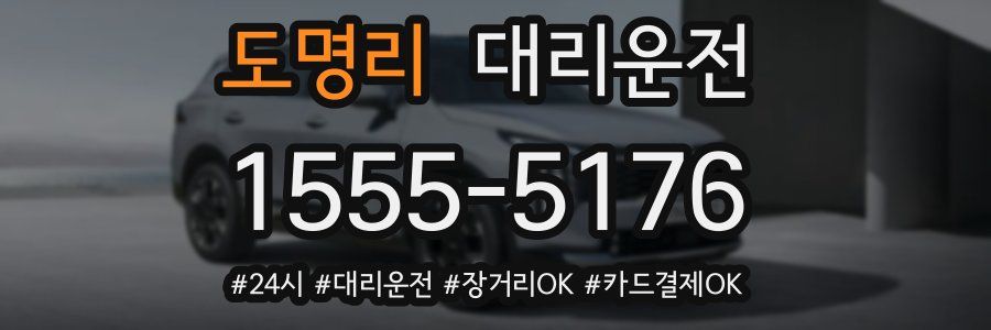 도명리 대리운전