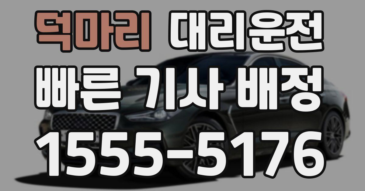 일일대리기사