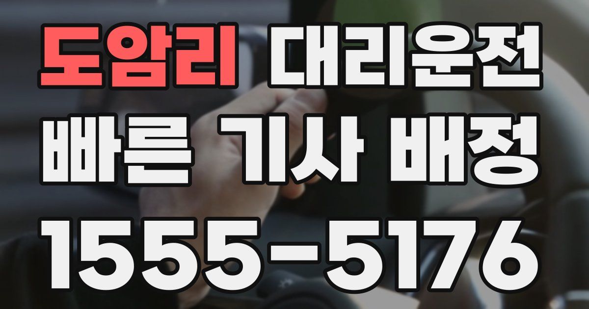 일일대리기사