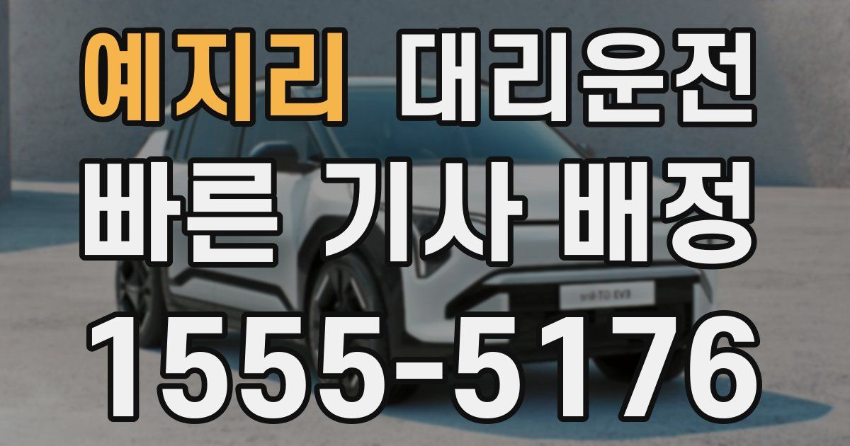 일일대리기사