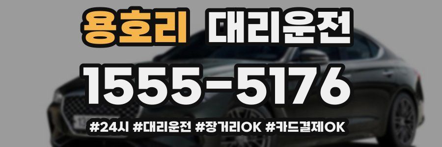 용호리 대리운전