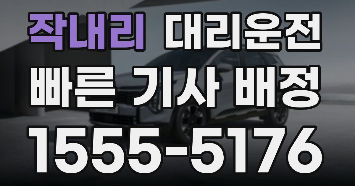 일일대리기사