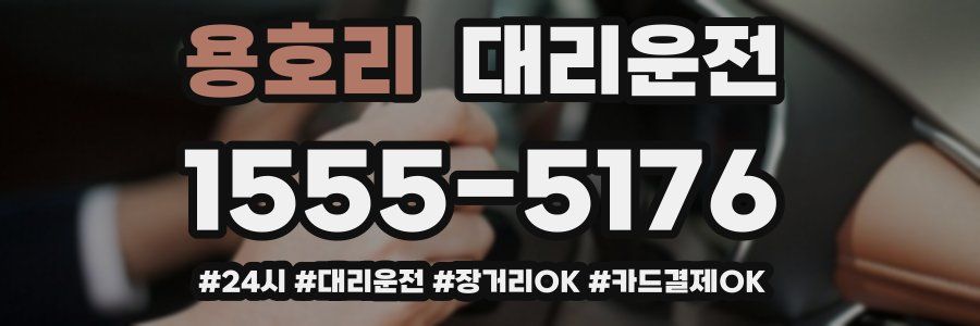 용호리 대리운전
