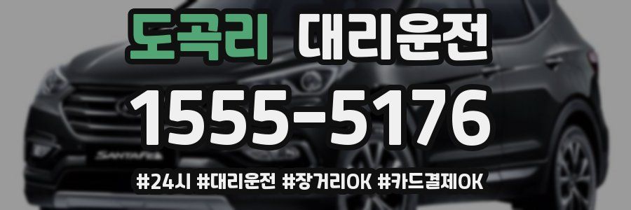 도곡리 대리운전