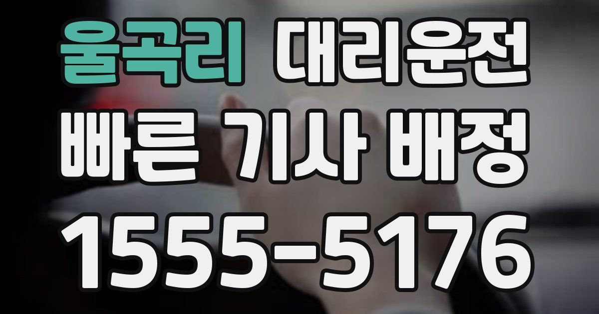 일일대리기사