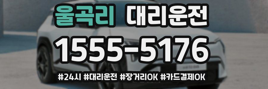 울곡리 대리운전