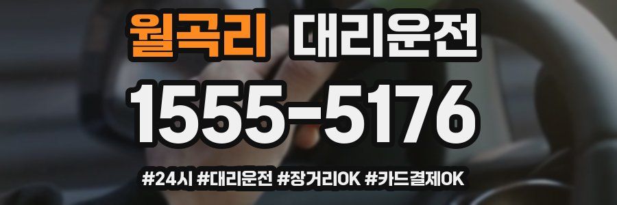 월곡리 대리운전