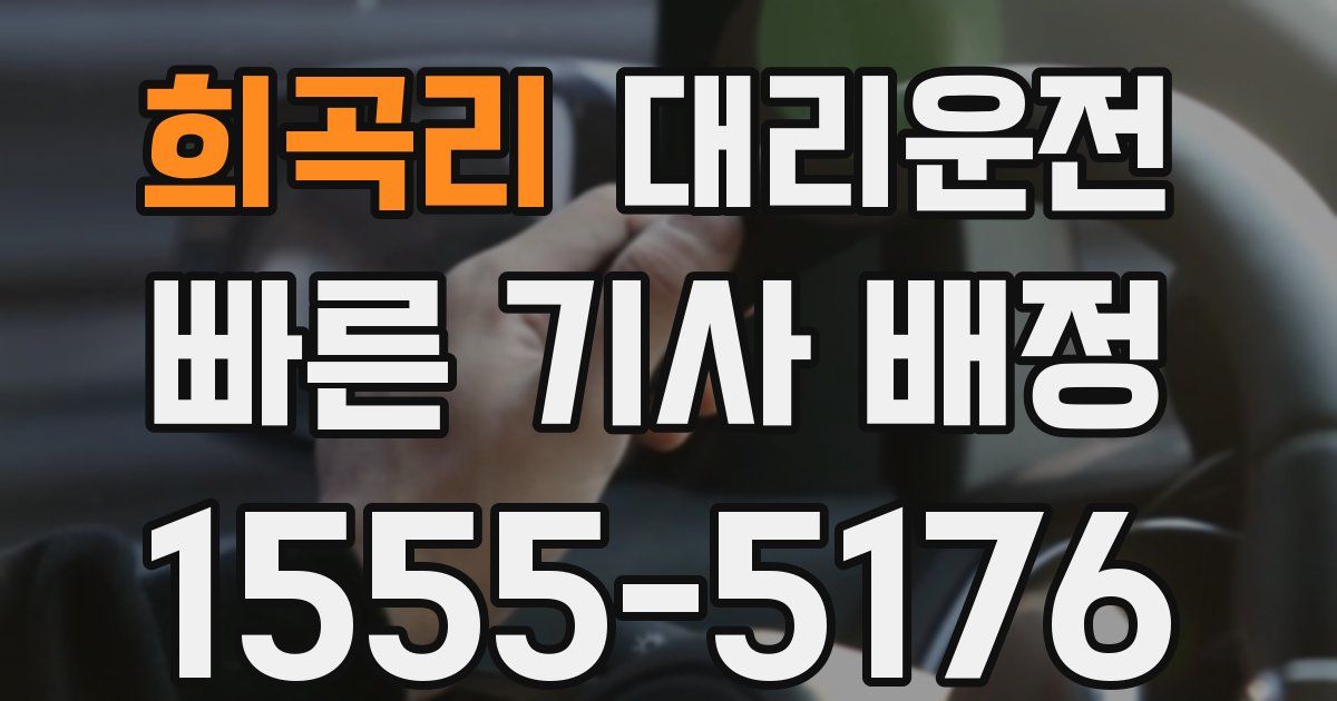 일일대리기사