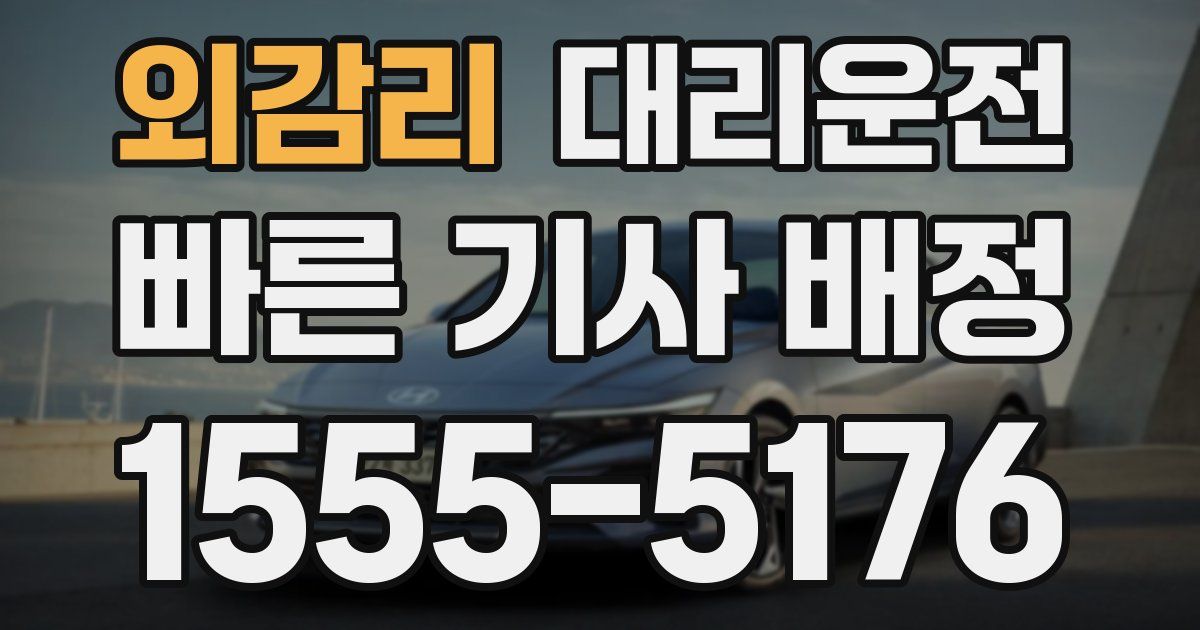 일일대리기사