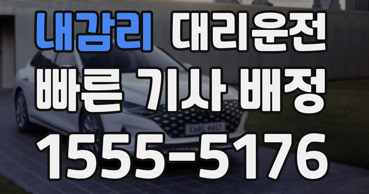 일일대리기사