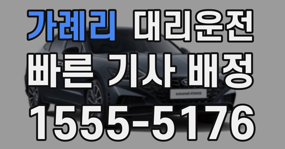 일일대리기사