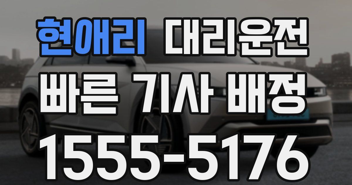일일대리기사