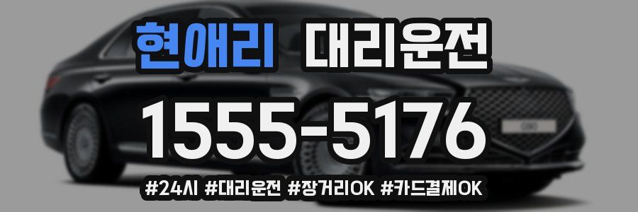 현애리 대리운전