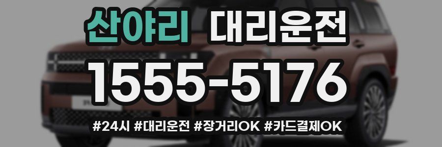 산야리 대리운전