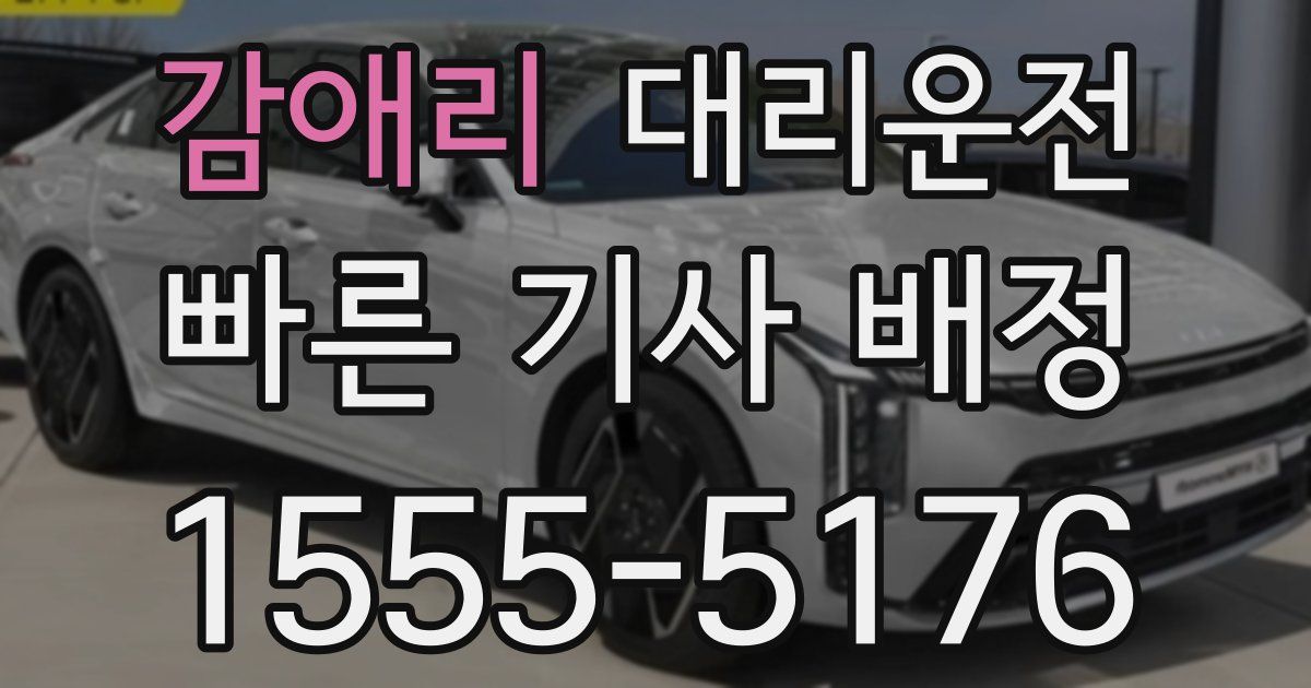 일일대리기사