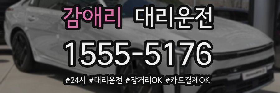 감애리 대리운전