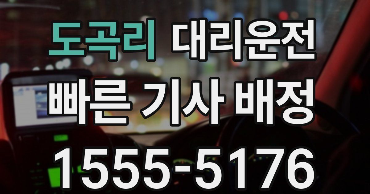 일일대리기사