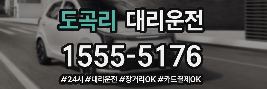 도곡리 대리운전